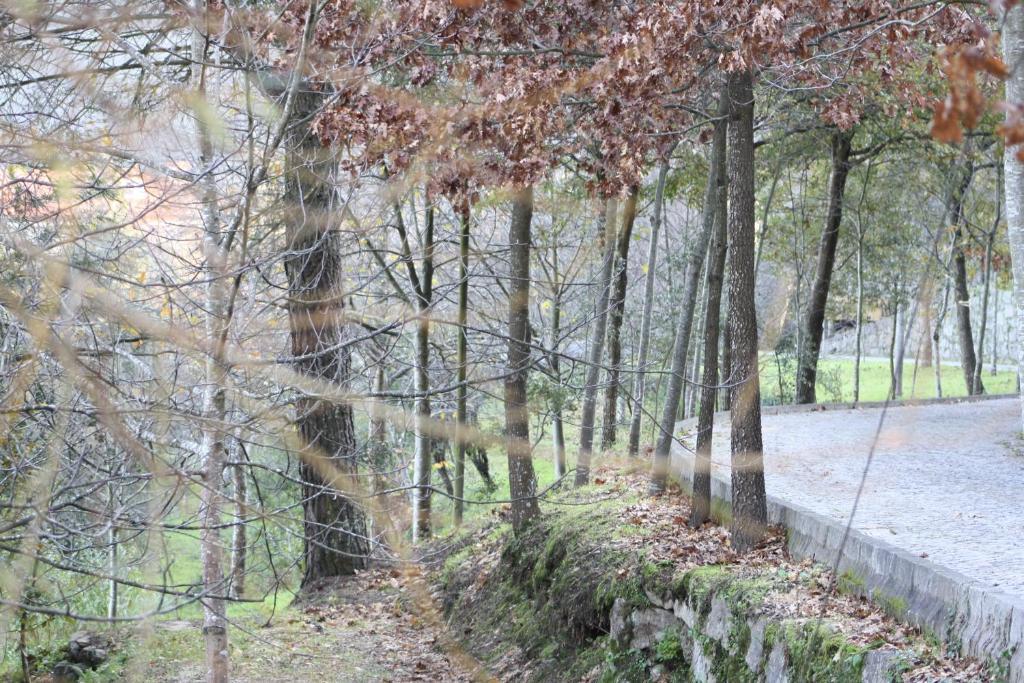 Отель Quinta De Santa Cruz Канелас Экстерьер фото